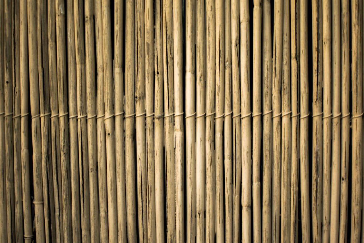 Bamboo panel