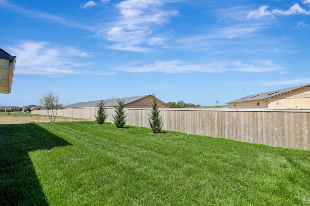 54-web-or-mls-A08A6538